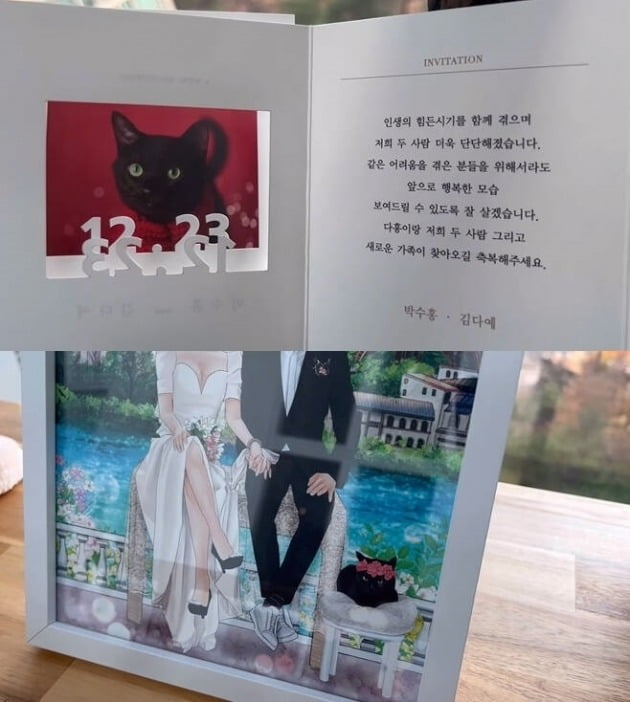 사진=박수홍 유튜브 채널