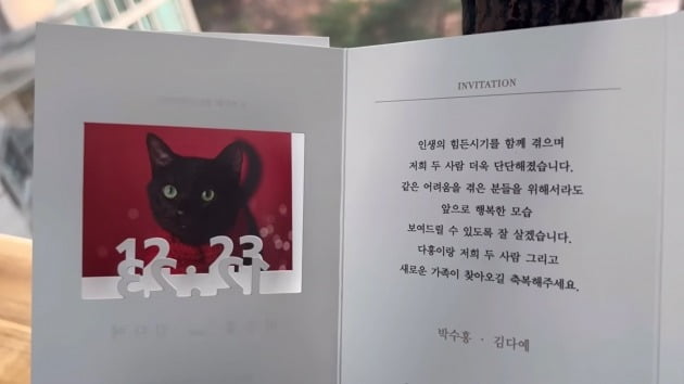 사진=유튜브 채널 '검은고양이 다홍' 영상 캡처