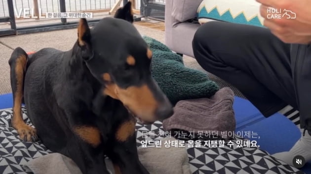 /사진 = 배정남