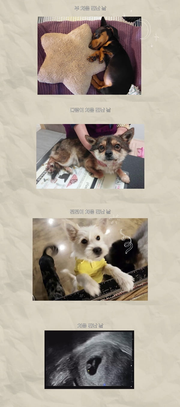 /사진=유튜브 채널 '승아로운' 영상 캡처