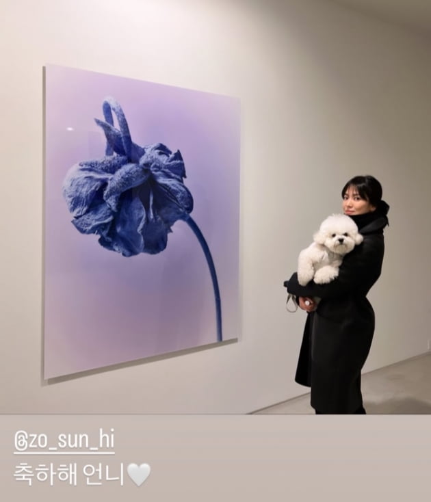 송혜교, 올 블랙으로 꽁꽁…반려견 루비와 조선희 작가 전시회 방문 '의리'