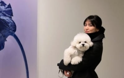 송혜교, 올 블랙으로 꽁꽁…반려견 루비와 조선희 작가 전시회 방문 '의리'