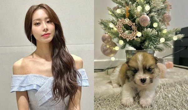 정유지, 새 가족 생겼다 "후회 없이 최선을 다해 사랑해 줄 것"