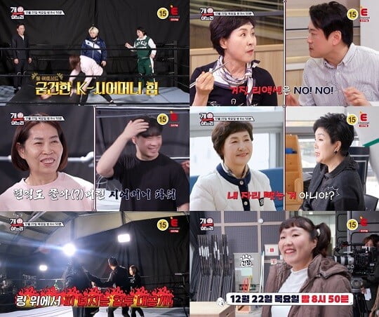 (사진=방송 화면 캡처)