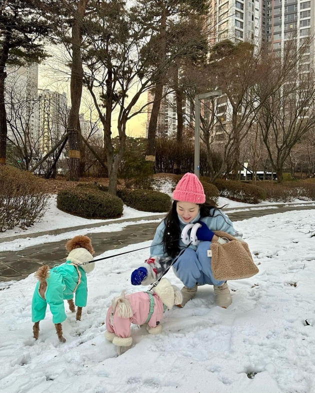 '전진♥' 류이서, 한낮에 개들과 아파트 단지 산책하는 여유 "디저트 좀 드시고"