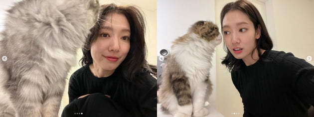 '최태준♥' 박신혜, 반려묘와 재미있는 놀이?...돋보이는 청순美