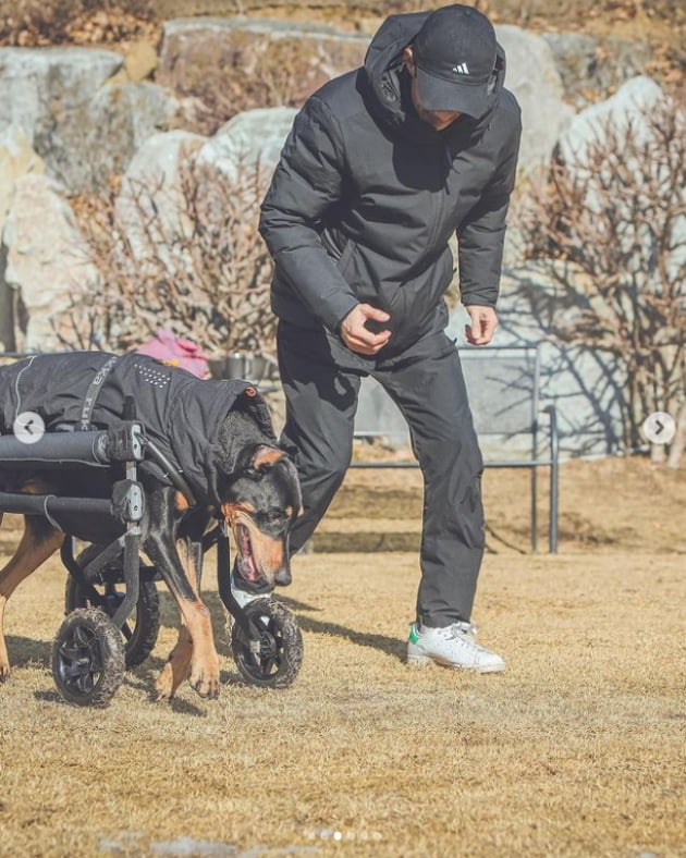 배정남, 전신마비 반려견 벨 근황...혼자 걷기 성공 "장하다"