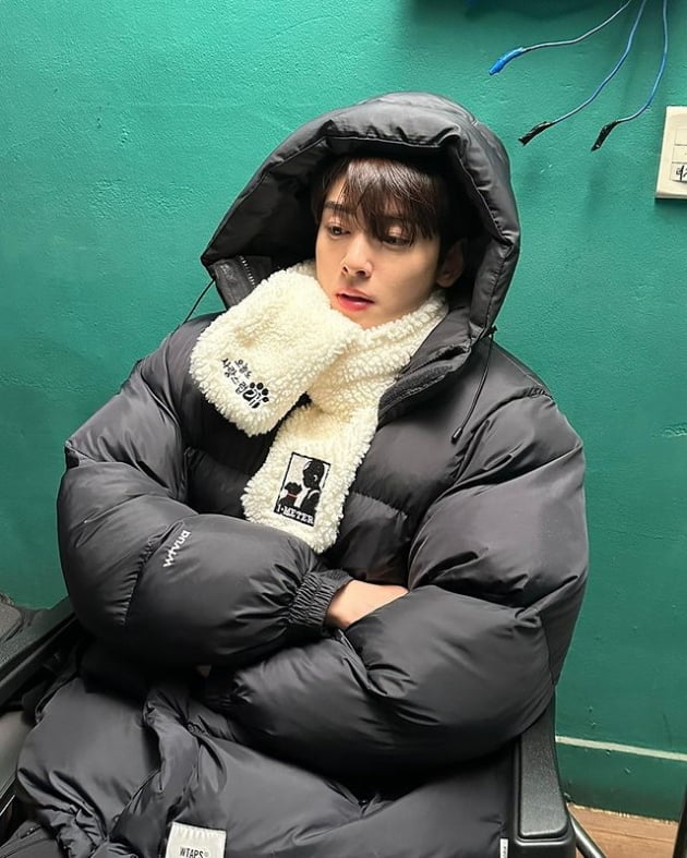 차은우, 패딩 점퍼 뒤집어써도 사랑스러운 얼굴 천재