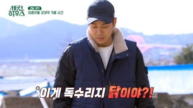 [종합] 주상욱, 송아지와 교감→산책…강풍에 날아간 닭장에 닭 탈출 '황당'('세컨하우스')