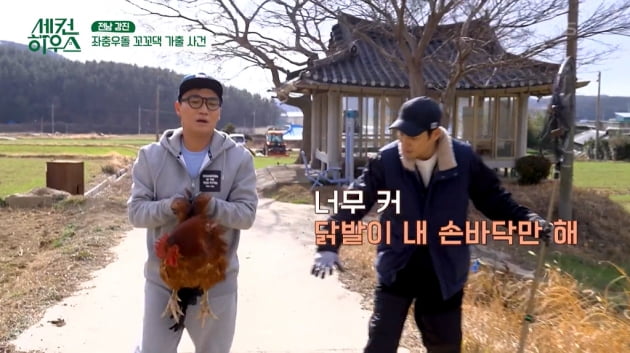 [종합] 주상욱, 송아지와 교감→산책…강풍에 날아간 닭장에 닭 탈출 '황당'('세컨하우스')