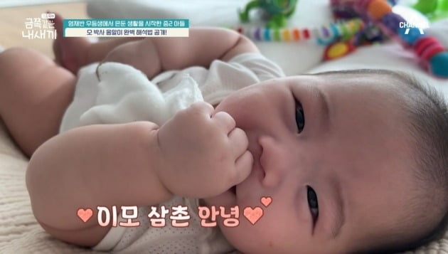 사진=채널A '금쪽같은 내새끼' 방송 화면.