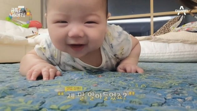 사진=채널A '금쪽같은 내새끼' 방송 화면.
