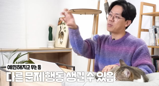 유명 연예인, 반려묘 학대…얼굴 긁힐까봐 고양이 발톱 뼈마디까지 잘라 ('미야옹철')