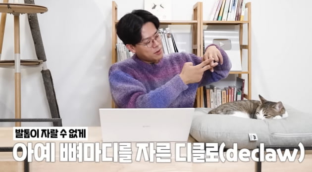 유명 연예인, 반려묘 학대…얼굴 긁힐까봐 고양이 발톱 뼈마디까지 잘라 ('미야옹철')
