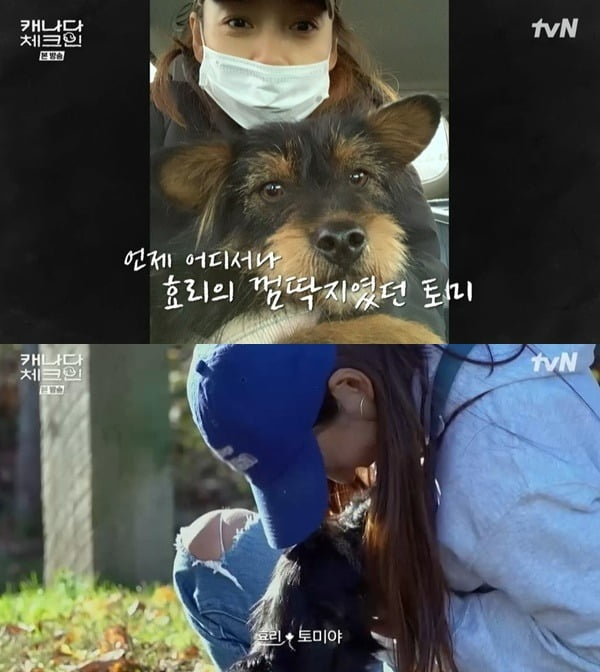 사진=tvN '캐나다 체크인'