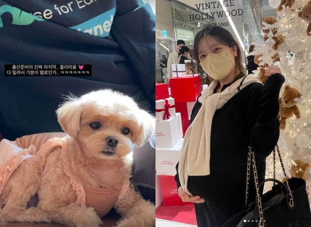 '이욱♥' 벤, 출산 준비 마지막으로 한 일은?...줄리 미용