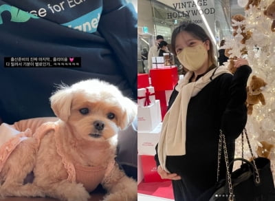 '이욱♥' 벤, 출산 준비 마지막으로 한 일은?...줄리 미용