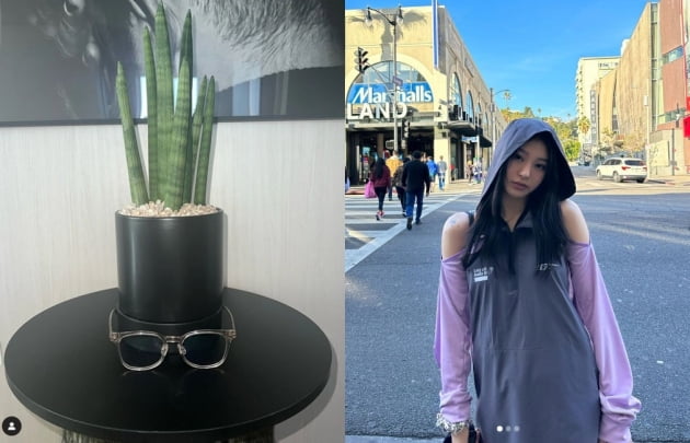 '갑질논란' 노제, 23년 첫 게시물...복귀 시동?