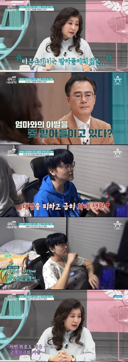 '금쪽같은 내 새끼'(사진=방송 화면 캡처)