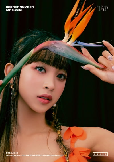 [TEN차트] 시크릿넘버 디타, 주말 아침 브런치를 함께 먹고 싶은 여자 가수 1위…엔믹스 설윤 2위
