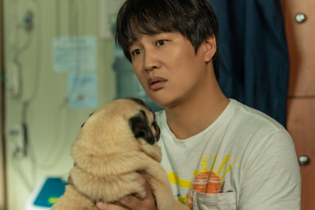 /사진=영화 '멍뭉이' 차태현 스틸