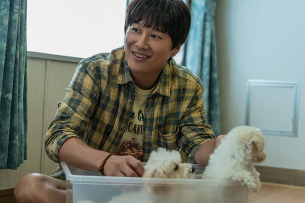 /사진=영화 '멍뭉이' 차태현 스틸