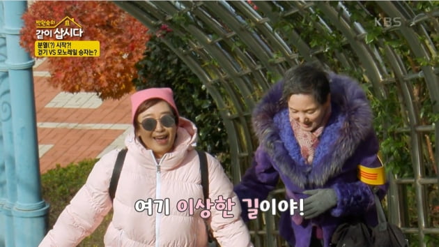 [종합] 안소영, 프랑스 파리에서 혼탕 경험有 "웬 할아버지가 들어오더라"('같이삽시다')