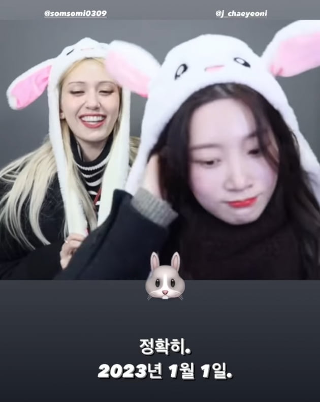 정채연, 깜찍 토끼로 변신…전소미와 훈훈+시끌벅적 4컷