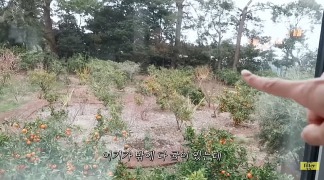 '마이큐♥' 김나영, 해외여행 안 부러운 미끄럼틀+수영장 딸린 제주 숙소 '힐링'