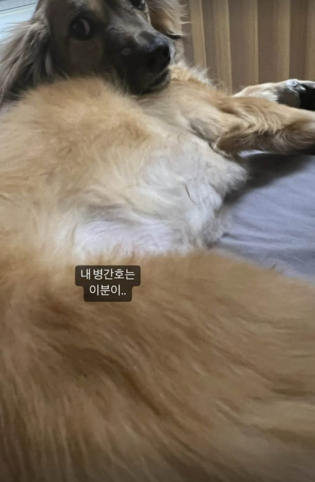 이다은, "38도 고열" 독감에 옴짝달싹 못 하는데 ♥윤남기 대체 어디에