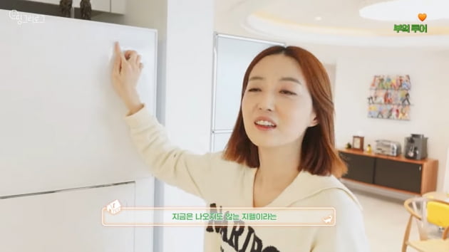 '압구정 아파트 거주' 오상진, 20년된 냉장고 쓰며 대놓고 PPL 요구('띵그리TV')
