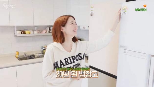 [종합] 김소영♥오상진, 한강뷰 전셋값 20억대로 급히 이사한 이유 "열몇 개는 봤다"('띵그리TV')