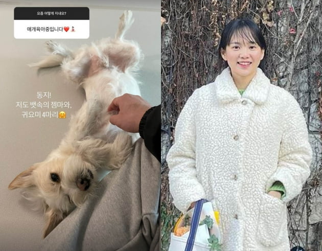 '임신' 윤승아, 딸 태어나기도 전인데 벌써 '육아맘'…"뱃속 젬마와 귀요미 넷"