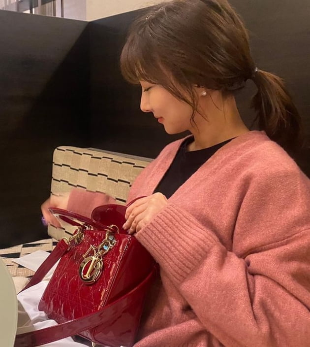 이인혜, ♥치과의사에 490만원 D사 가방 받았나…소중하게 꼬옥