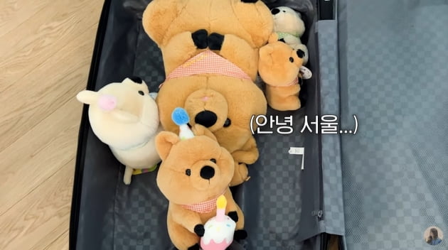 '오뚜기 장녀' 함연지 "우울한 일 有, 햄편과 잘 상의…혼자 잘 해결할 것"