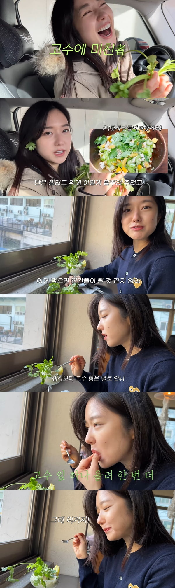 /사진=유튜브 채널 '혜성책빵' 영상 캡처