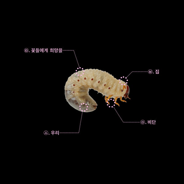 싱어송라이터 sooSoo, 'BUGSLIFE' 발매