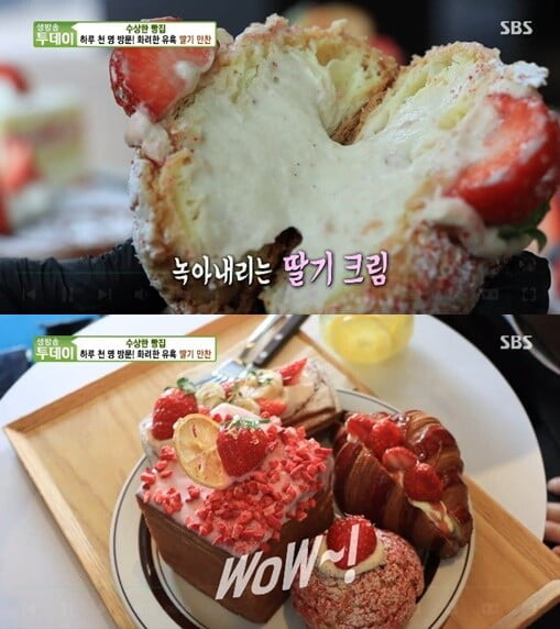'생방송 투데이'(사진=방송 화면 캡처)