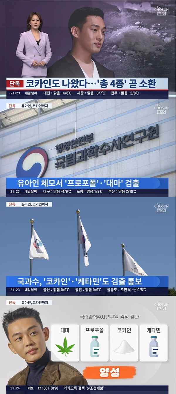 /사진=TV조선 '뉴스9' 방송 화면 캡처