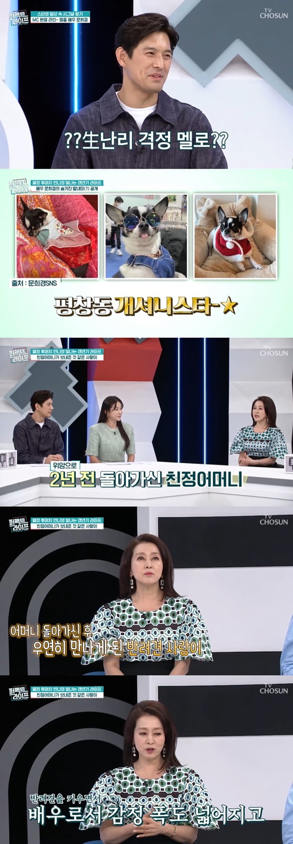 /사진=TV조선 '퍼펙트 라이프' 방송 화면 캡처