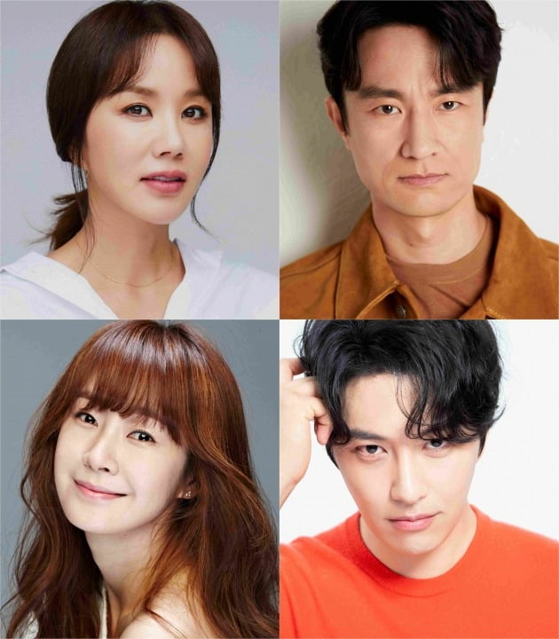 '닥터 차정숙'/사진=각 소속사 제공