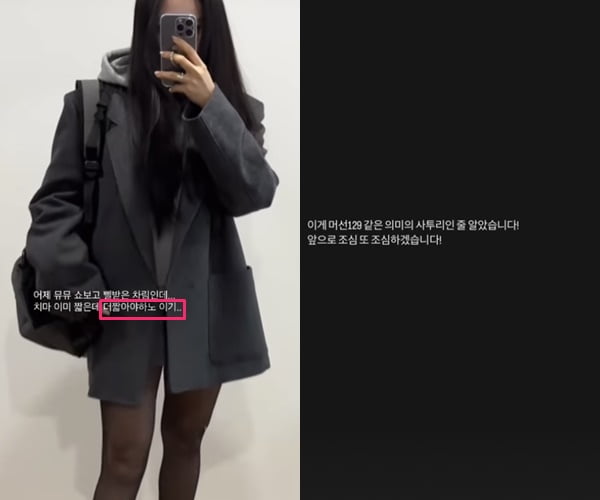 효민, 일베 용어 사용…지적받고 "사투리인 줄" 해명 후 삭제