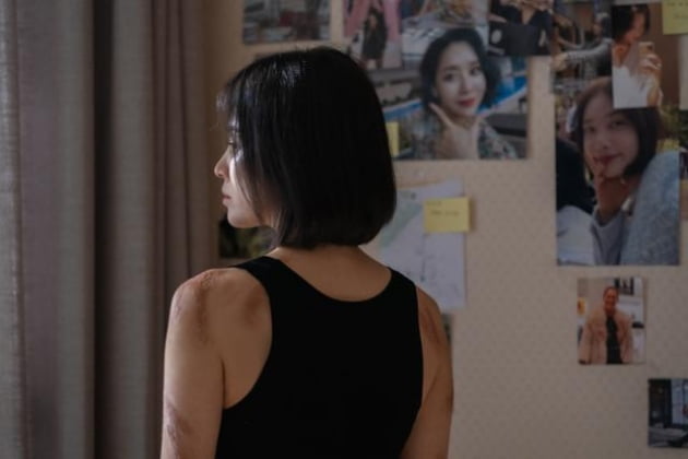 곤약밥 먹고 살 뺀 송혜교→노브라로 다닌 김히어라…프로는 프로다[TEN피플]