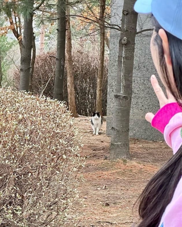 '전진♥' 류이서 "누군가 보고 있는 듯한 느낌이 들어" 산책 나갔다가 깜짝
