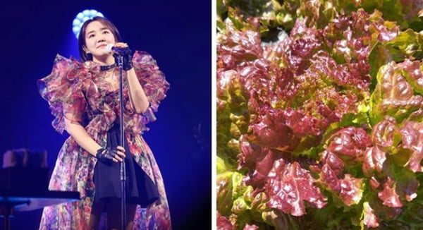 윤하, '사건의 지평선' 앨범 커버 표절 이어 무대 의상 표절 고백