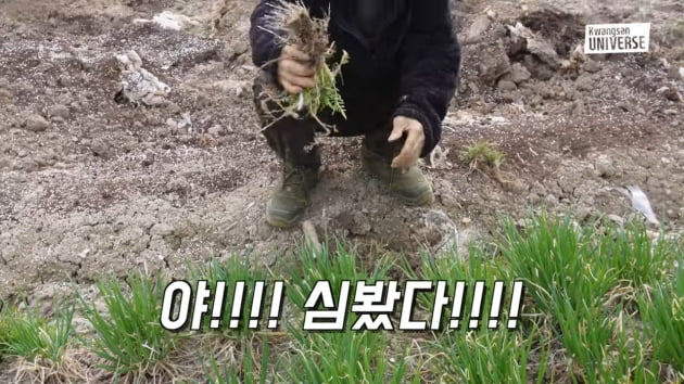 '김승현父' 김언중, 동네 밭에서 "인삼, 심봤다!"…♥백옥자 "시끄러" 호통('김승현가족')