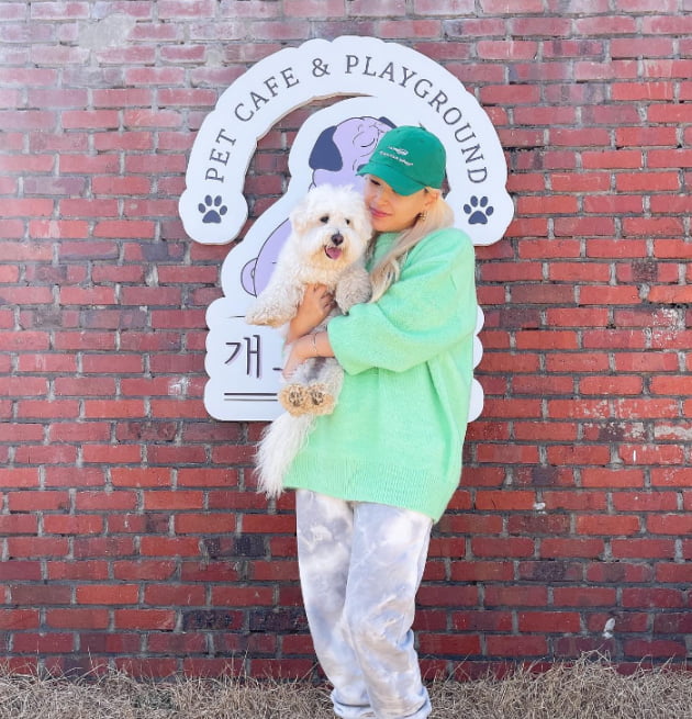 '11살 연하♥' 배윤정, 아들 육아하랴 개 키우랴…바쁘다 바빠