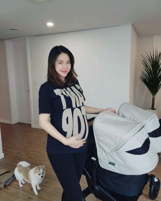 '금융맨♥' 공현주, 쌍둥이 출산도 전에 받은 270만원짜리 명품 유모차 "설레"