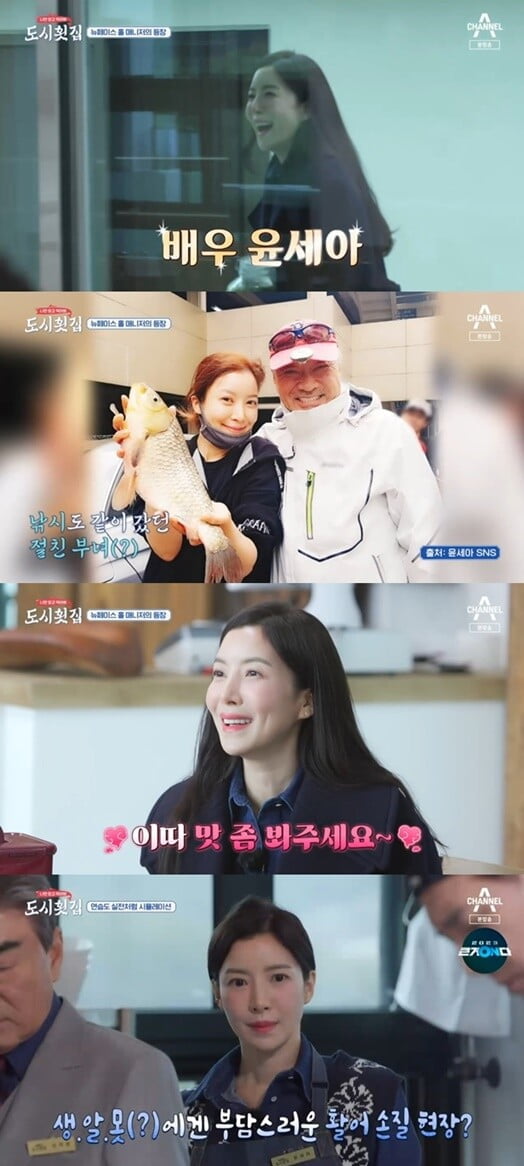 '도시횟집'(사진=방송 화면 캡처)