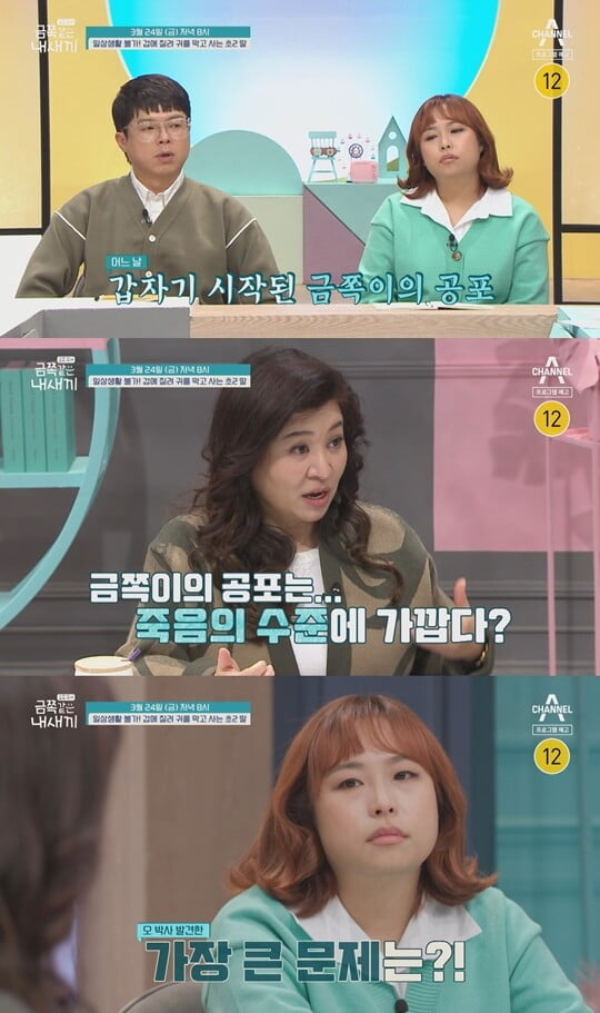 (사진=채널A)